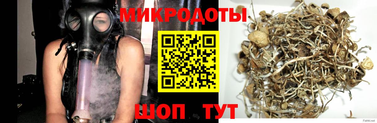 Сухой Лог  Галлюциногенные грибы Psilocybe  Вход с VPN 