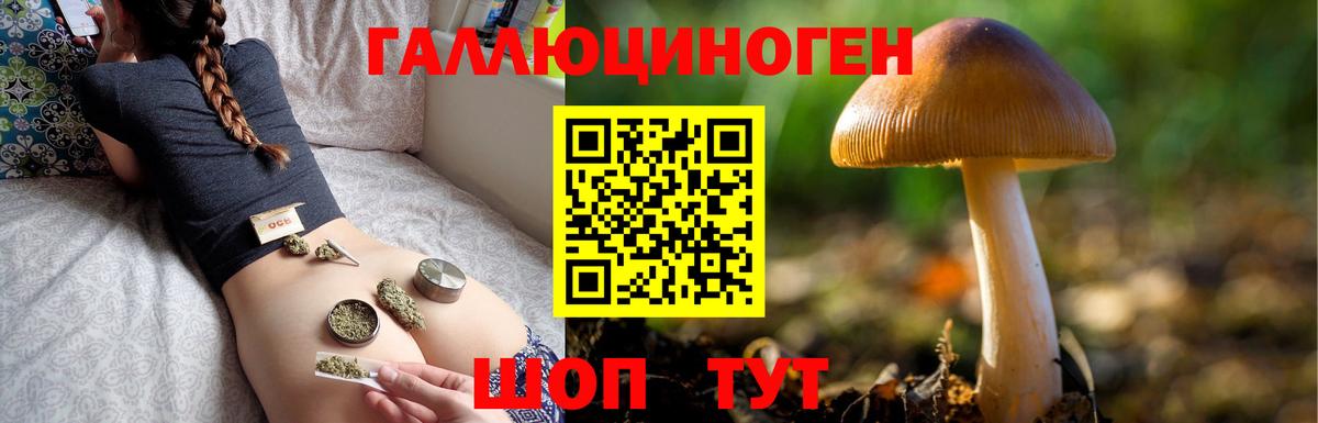 A PVP Сухой Лог