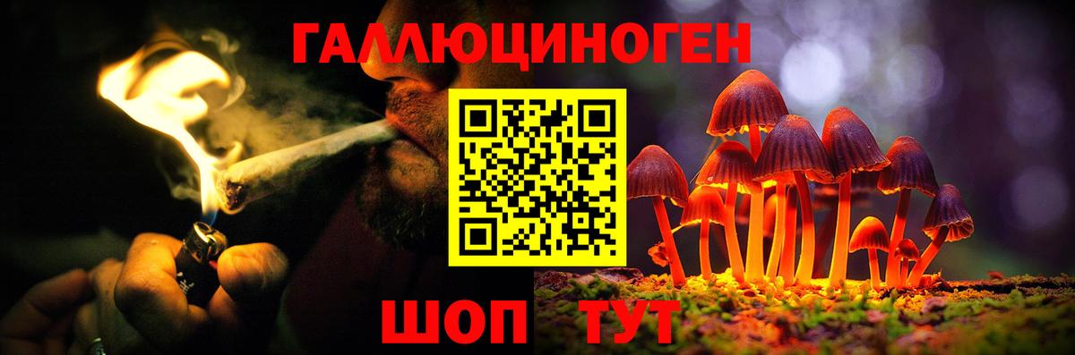 Псилоцибиновые грибы Cubensis Сухой Лог